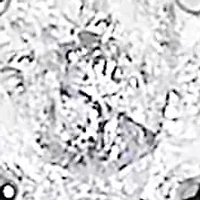 14K White Gold 1/5 Cttw Diamond With Halo Engagement Ring