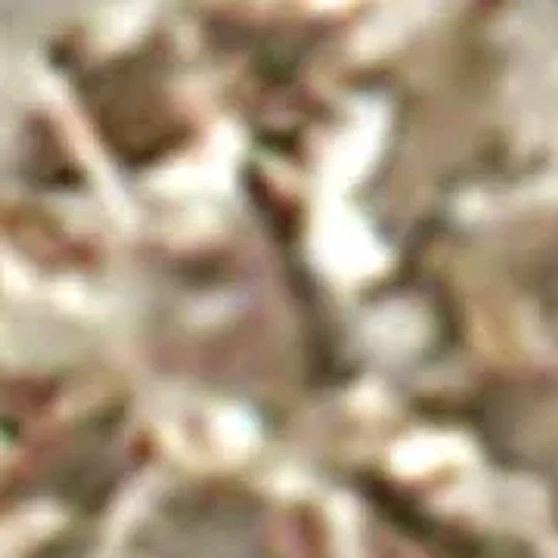 Silver 1/4 Cttw Diamond 5-Stone Band Ring