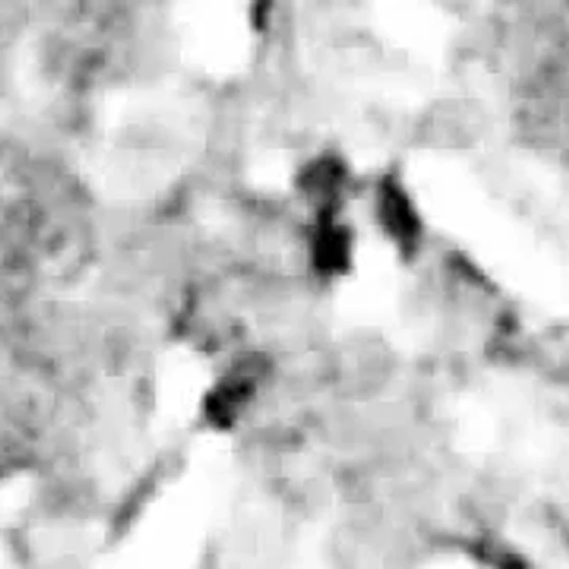 Silver 2.0 Cttw Diamond Tapered Cocktail Fashion Ring