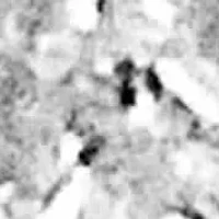 Silver 2.0 Cttw Diamond Tapered Cocktail Fashion Ring