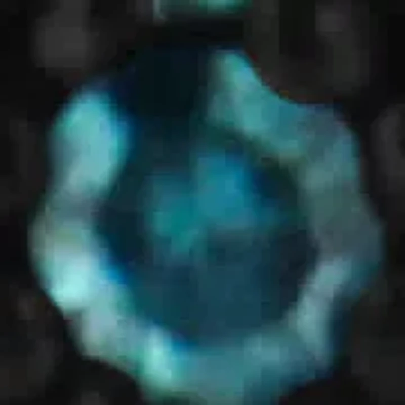 Black Rhodium Plated Silver 1/2 Cttw White & Blue Diamond Cocktail Ring