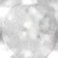 Silver 1.0 Cttw Diamond Flower Cluster Open Halo Floral Ring