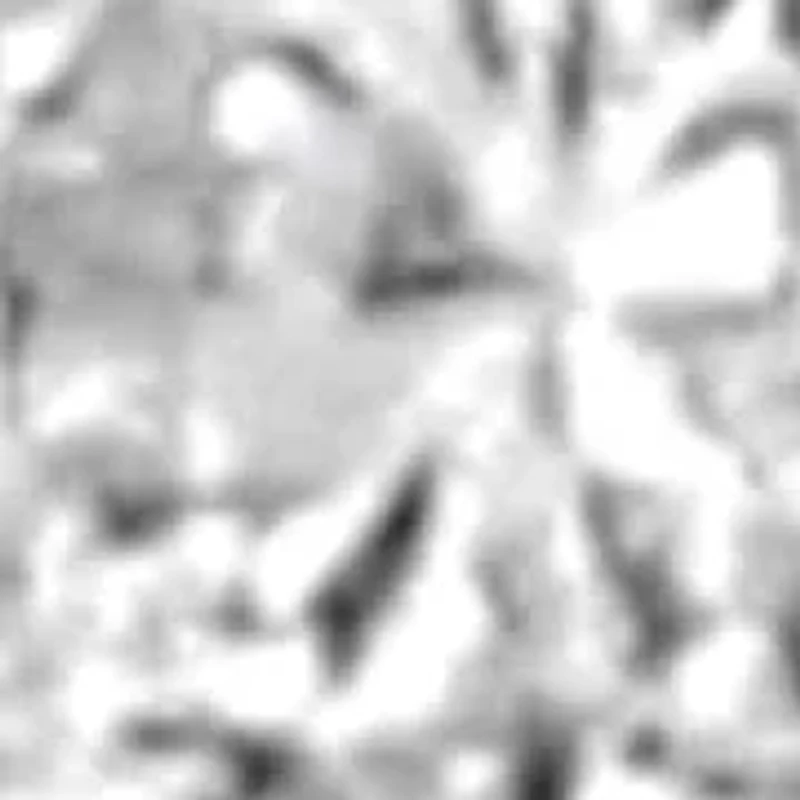 Silver 2.00 Cttw Diamond Cluster Ring