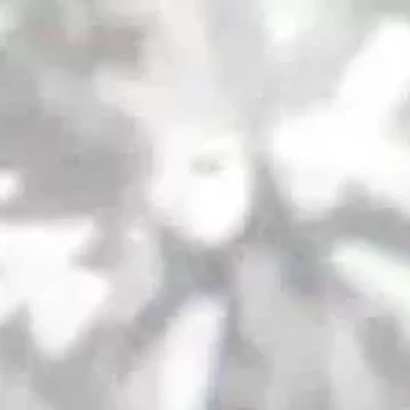 10K Yellow Gold 1/2 cttw Diamond Cluster Cocktail Ring