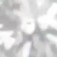 10K Yellow Gold 1/2 cttw Diamond Cluster Cocktail Ring