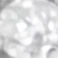 10K Yellow Gold 3/8 Cttw Diamond Leaf Cocktail Ring