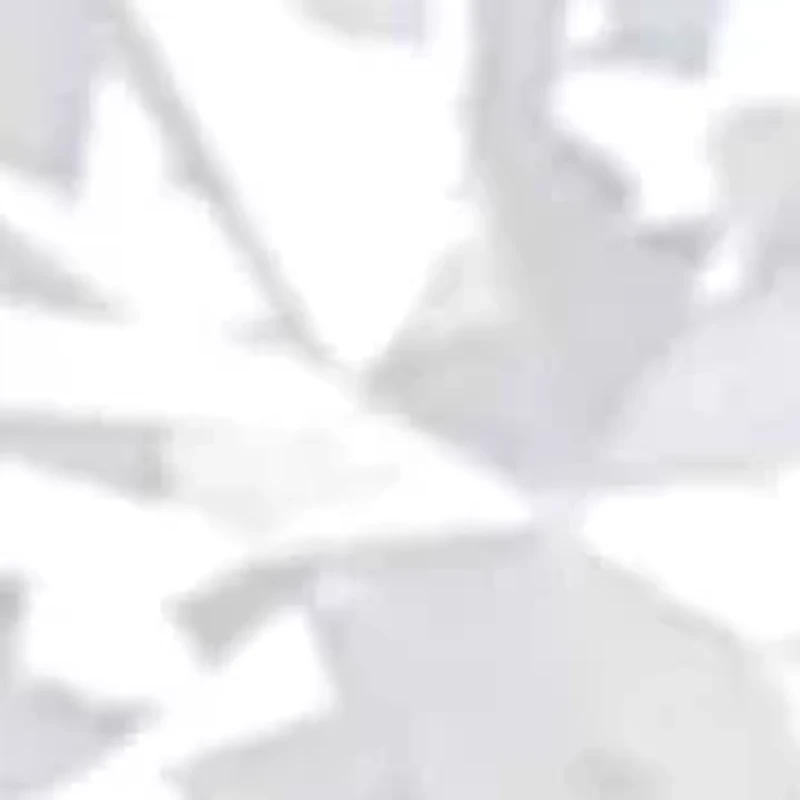 Silver 1.0 Cttw Round Diamond 5 Stone Band Ring