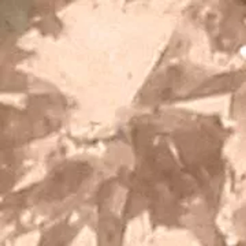 10K Yellow Gold 1.00 Cttw Champagne Diamond 3-Stone Band Ring