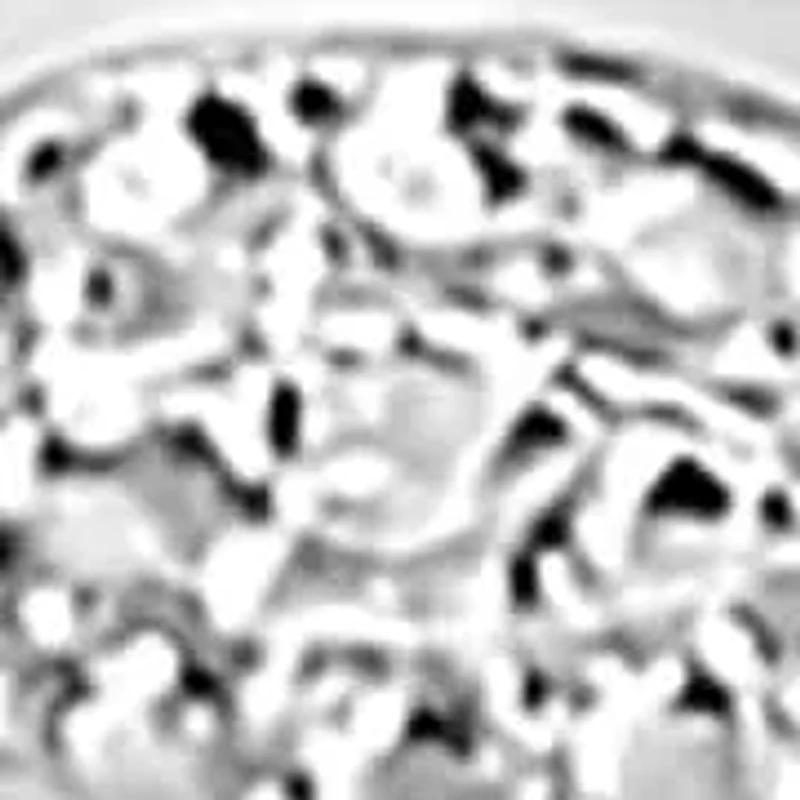 Silver Diamond Accent Links Bolo Bracelet - Adjustable 6" to 9"