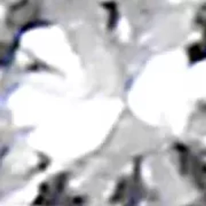 14K Gold 3/4 Cttw Diamond Floral Cluster Drop and Dangle Stud Earrings