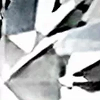 Lab Created 14K White Gold Lab Grown Diamond Screwback Stud Earrings