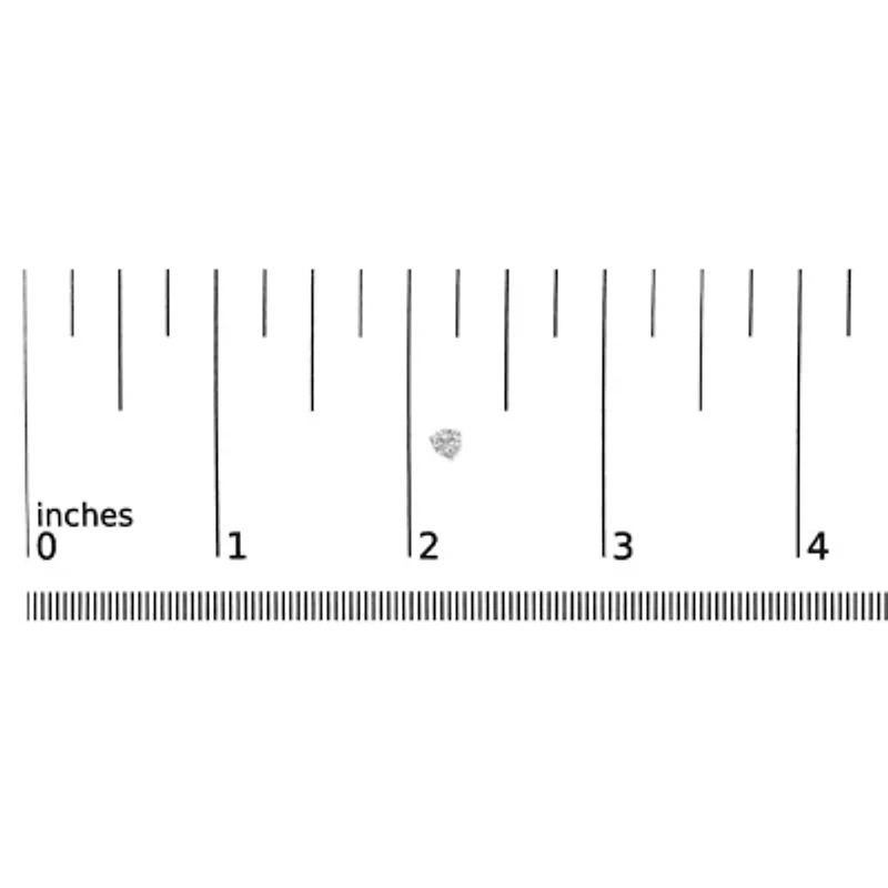 Lab Created 14K White Gold Lab Grown Diamond Screwback Stud Earrings