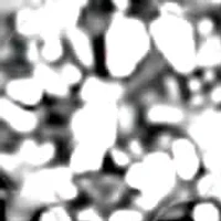 Lab Created 10K Gold 1/4 Cttw Lab Grown Diamond Double Row Huggie Hoop Earrings