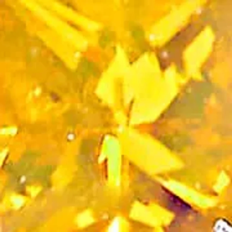 Silver 1/2 Cttw Yellow Princess Diamond Quad Stud Earring