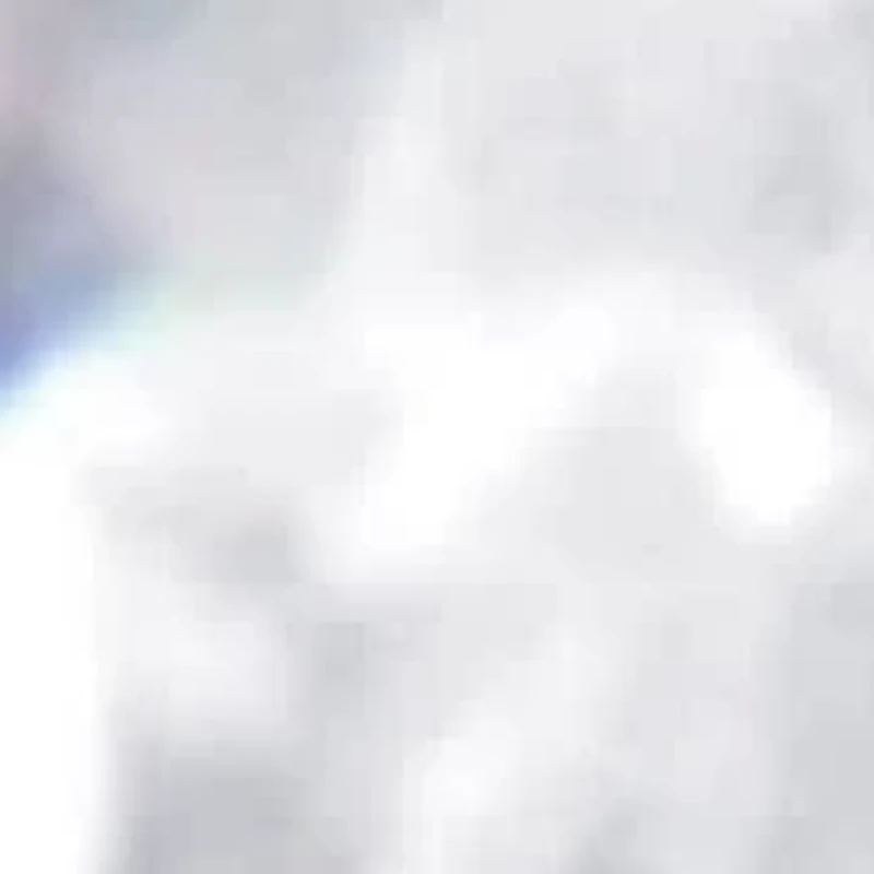 14K White Gold 1 cttw Double Diamond Stud Earrings