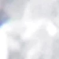 14K White Gold 1 cttw Double Diamond Stud Earrings