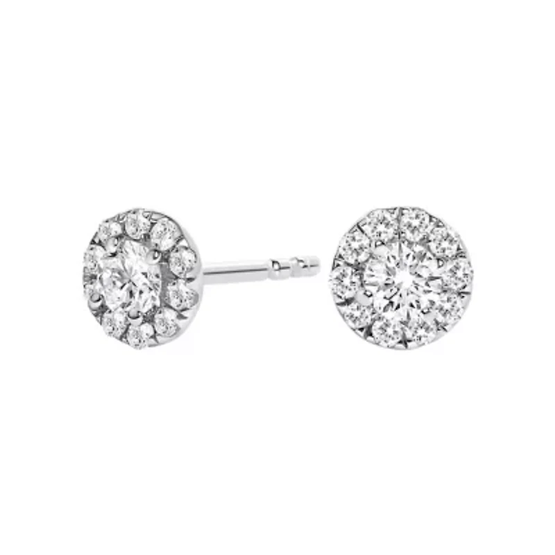 Lab Created 14K White Gold 1/3 Ct Lab-Grown Diamond Halo Stud Earring