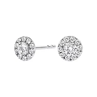 Lab Created 14K White Gold 1/3 Ct Lab-Grown Diamond Halo Stud Earring