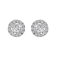 Lab Created 14K White Gold 1.0 Ct Lab-Grown Diamond Halo Stud Earring