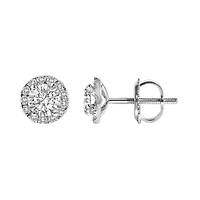 Lab Created 14K White Gold 1.0 Ct Lab-Grown Diamond Halo Stud Earring
