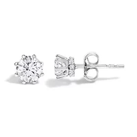 Lab Created 14K White Gold 1.0 Ct Lab-Grown Diamond 8 Prong Hidden Halo Stud Earrings