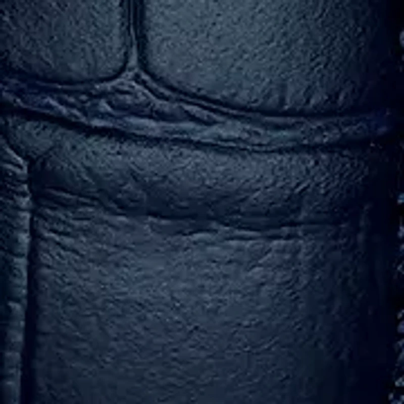 Women Tissot Le Locle 29mm Stainless steel Watch