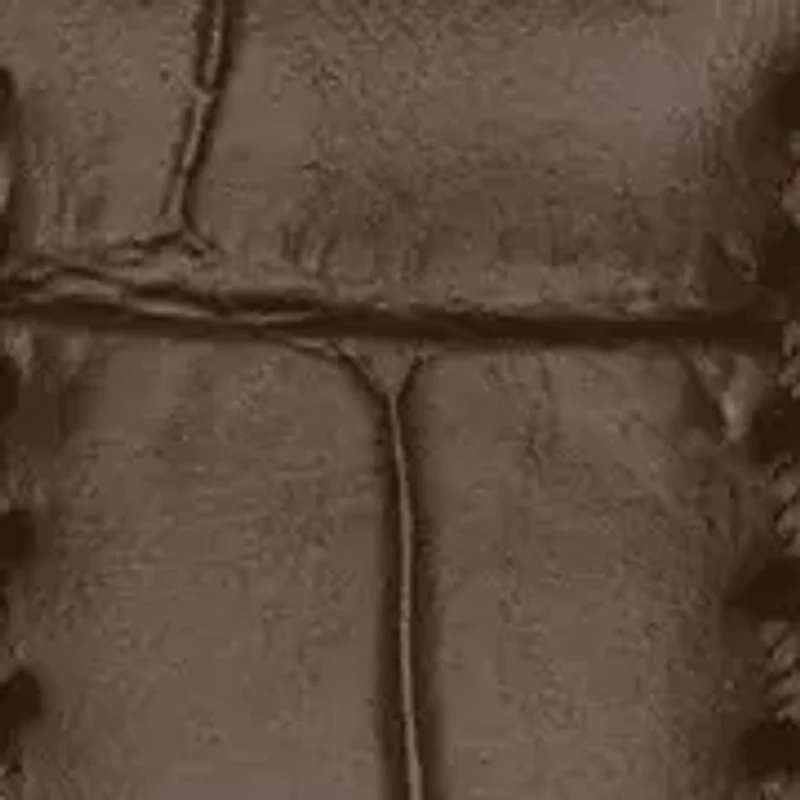 Women Tradition 5.5 Lady (31.00) Stainless steel Watch