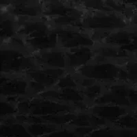 Unisex Tissot PRX Powermatic 80 Damascus Steel 38mm Stainless steel Watch