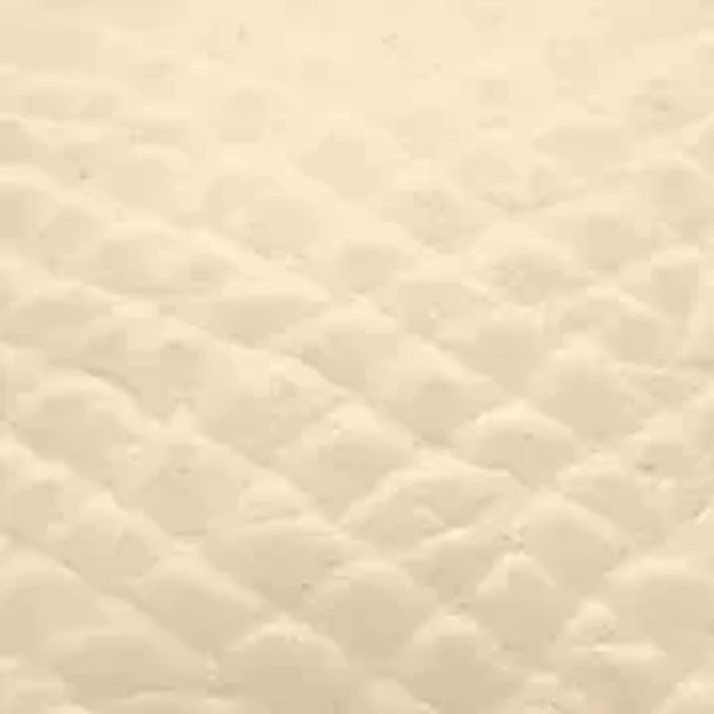 Women Chemin des Tourelles Powermatic 80 34 mm Stainless steel Watch