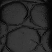 Women Everytime 34mm Stainless steel Watch