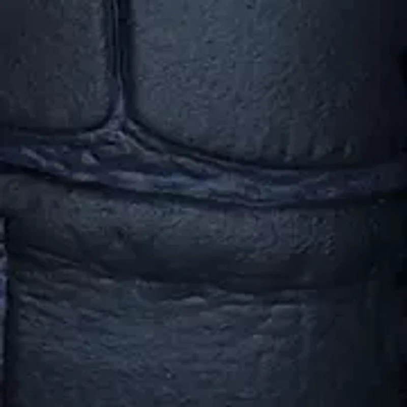 Women Tissot le Locle Gold 29mm Stainless steel Watch