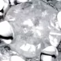 Men's 1/5 Cttw. Round Diamond Solid 10k Yellow Gold Diagonal Ring