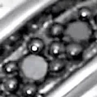 03 TCW Men's Round Genuine Black Diamond Platinum-Plated Sterling Silver Ring