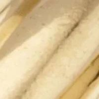 Polished Solid 10k Yellow Gold Shrimp-Style Ring