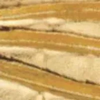 Two-Tone Textured Solid 10k Yellow and White Gold Horizontal Crucifix Ring