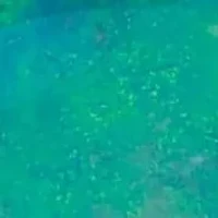 Genuine Blue Opal and Black Jade 10k Yellow Gold Bezel-Set Cabochon Ring