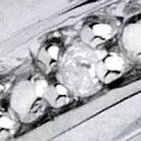 Men's 1/10 TCW Round Diamond Wedding Band Platinum-plated Sterling Silver