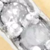 Men's Diamond Accent 18k Gold-plated Sterling Silver Diagonal Wedding Band