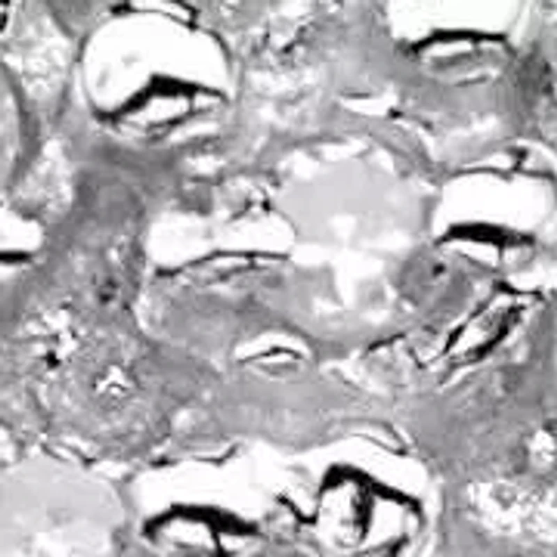 Diamond Accent Cluster Bypass Ring Solid 10k Gold