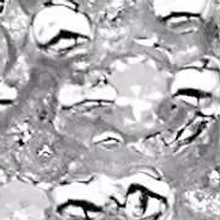 Diamond Accent Cluster Bypass Ring Solid 10k Gold