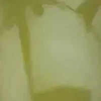 Coral, Opal, Jade, Onyx and Tiger's-Eye Cluster Ring Gold-Plated