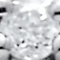 Men's .09 TCW Platinum-Plated Sterling Silver 3-Stone Diamond Band