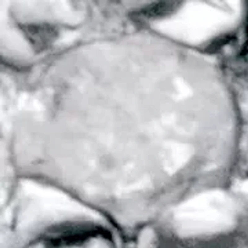 1/10 Cttw Men's Round Diamond 18k Gold-Plated Silver Grid Ring