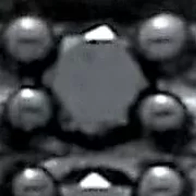 Men's .27 TCW Black and White Diamond Platinum-Plated Sterling Silver Ring