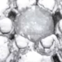 1/10 Cttw. Round Diamond Gold-Plated Sterling Silver Heart-Shaped Cluster Ring