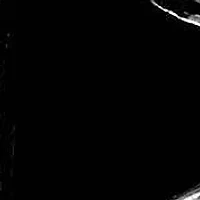 Men's Onyx Eagle Nugget Ring .925 Sterling Silver