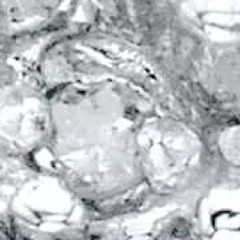 1/10 Cttw. Round Solid 10k Yellow Gold Diamond Cluster Bypass Ring