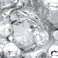 1/10 Cttw. Round Solid 10k Yellow Gold Diamond Cluster Bypass Ring