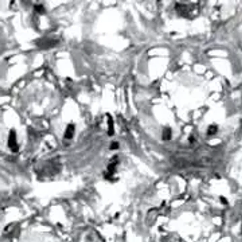 1/7 TCW Round Diamond Peak Ring Gold-Plated Sterling Silver