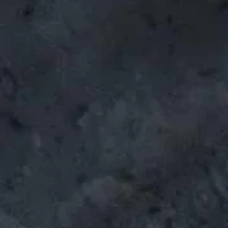 Genuine Black Jade Solid 10k Yellow Gold Butterfly Ring